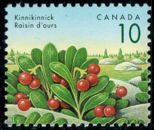 Canada 1992 edible - -, berries